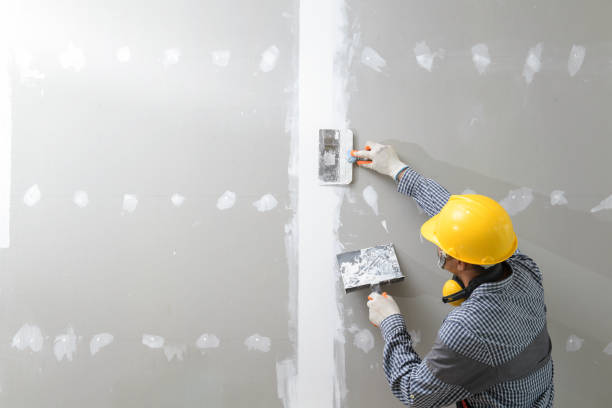 Best Crawl Space Mold Remediation  in Flippin, AR