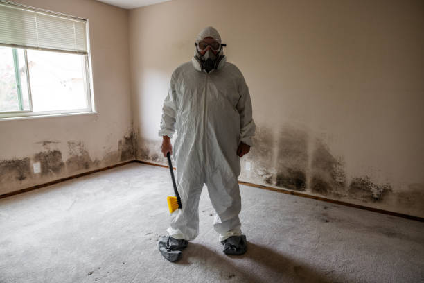 Best Biohazard Mold Removal  in Flippin, AR